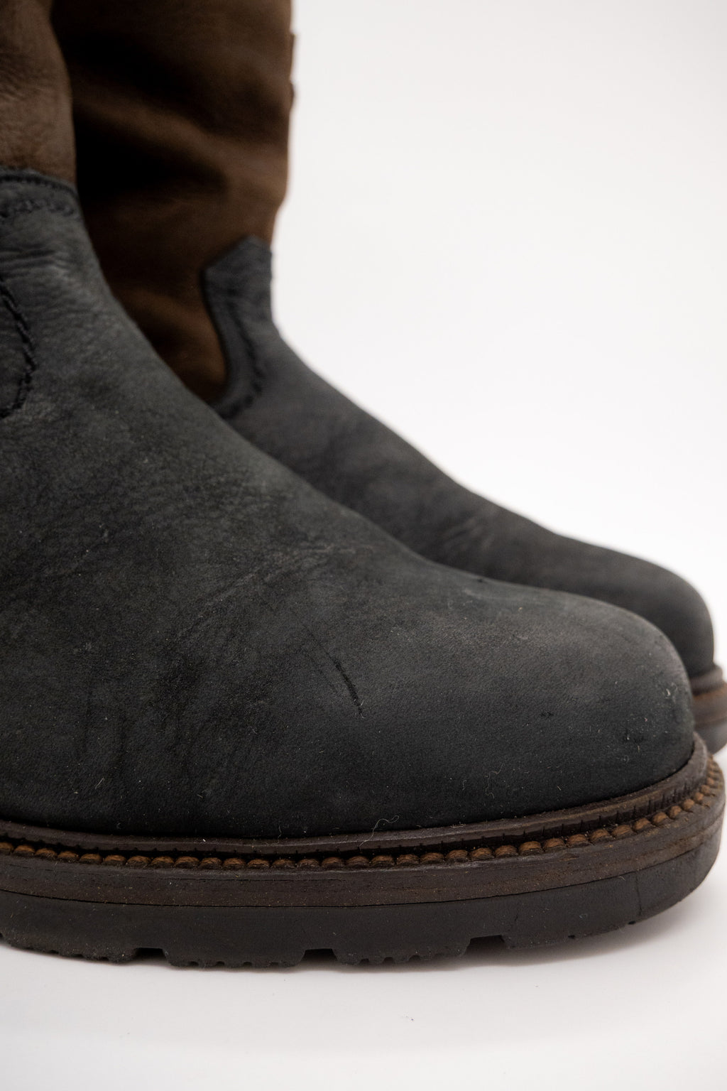 ANFIBIO  - Lucas De Luca