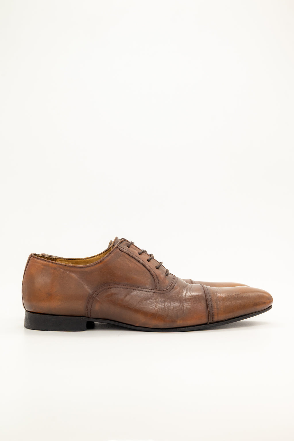 BOSSETTI - Oxford Brown