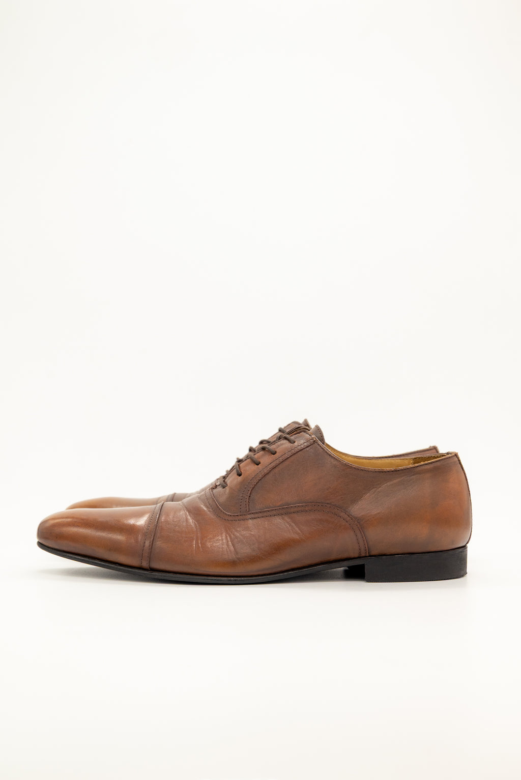 BOSSETTI - Oxford Brown